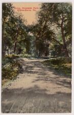 1917 Postcard of the Drive in Riverside Park Wilkes-Barre, Pennsylvania PA picture