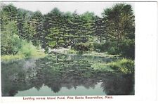 Vintage Massachusetts Linen Postcard Pine Banks Reservation Across Island Pond picture
