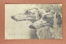 RARE Tsarist Russia postcard 1903 Dogs. Russian hunting dog BORZOI picture