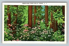Belle Terre LI NY, Scenic Greetings, New York Vintage Postcard picture