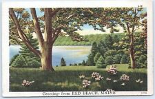 Postcard 1953 ME Greetings Nature Scenic View Flowers Trees Red Beach Maine   picture