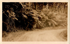 Believed to be Hawaii circa 1930 RPPC Postcard picture