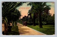 Galveston TX- Texas, Tropical Garden, Antique, Vintage c1913 Souvenir Postcard picture
