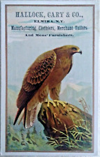 Golden Eagle Trade Card Hallock, Cary & Co. Men's Furnishers, Elmira NY, 1880s picture