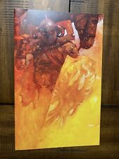 Frank Frazetta's Death Dealer #1 WhatNot Exclusive Variant 397/600 NM/NM+ picture