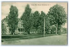 c1910's Upper Main Street View House Scene Schenevus New York NY Postcard picture