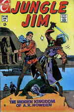 Jungle Jim (Charlton) #24 FN; Charlton | June 1969 Pat Boyette - we combine ship picture