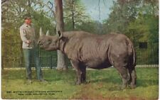 NYC Bronx Zoo Rhinoceros Zoological 1910 New York City  picture