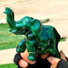 317G Natural glossy Malachite Crystal  Handcarved elephant mineral sample picture