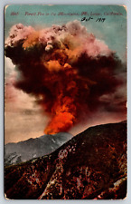 Vintage Postcard CA Mt Lowe Forest Fire in Mts c1919 Divided Back picture