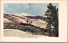 c1910s COLORADO Embossed Postcard 