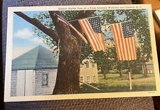 Waterloo & Geneva New York, Historic Scythe Tree American Flags Vintage Postcard picture