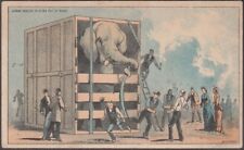 P T Barnum Elephant Jumbo Objects to being put in irons trade card 1880s picture