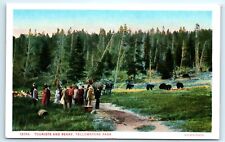 POSTCARD Haynes 13054 Yellowstone Park WY Tourists and Bears picture