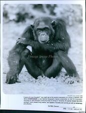 1984 Among The Wild Chimpanzees National Geographic Tanzania Animals Photo 8X10 picture