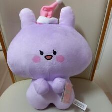 Asamimi-chan Anemimi-chan Big Plush Doll Sleep Together 30cm Taito 2024 picture