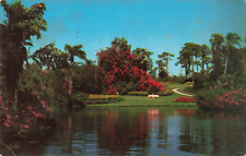 Cypress Gardens FL Florida, Blossom Time, Fairyland of Flowers, Vintage Postcard picture
