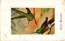 Vintage Postcard- Green birds, Best Wishes picture