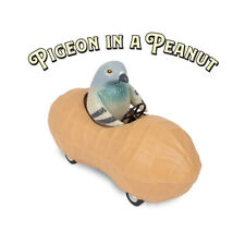 Pigeon in a Peanut Pullback Toy Car picture