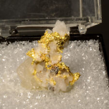 Crystallized Native Gold w/Quartz Collector Mineral Specimen - Eagle's Nest Mine picture