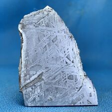 119gm  Aletai iron meteorite slab  KC046 picture