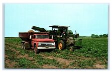 Postcard Potato Harvester at Aroostook County, Maine A66 picture