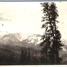 c1920s Mount San Gorgonio, CA RPPC Bernardino Mountains Real Photo Postcard A94 picture