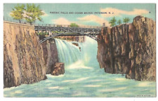 Paterson New Jersey c1940's Passaic Falls, Chasm Bridge, waterfall picture