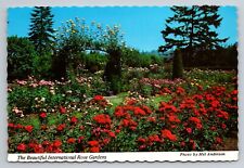 The Beautiful International Rose Gardens Portland Oregon Vintage Unposted picture