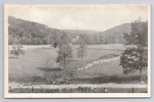 Looking Down The Valley Henryville Pennsylvania c1910 Antique Postcard picture
