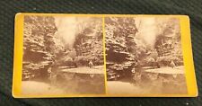 1860s Heywood Stereoview - Mystic Gorge Glenn Obscura Freer's Glan Watkins NY  picture