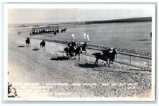 c1940's Horse Racing Derby Scene Lordsburg New Mexico NM RPPC Photo Postcard picture