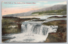 Celilo Falls The Dalles Columbia River Oregon Washington 1910 Postcard - Posted picture