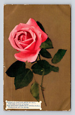 Old Antique Postcard Poem GATHER YE ROSEBUDS Pink Rose St Louis MO 1910 Cancel picture