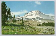 Mt.Hood Oregon Postcard 3782 picture