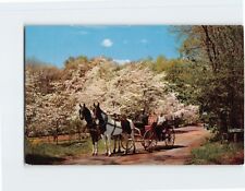 Postcard The Homestead Hot Springs Virginia USA picture