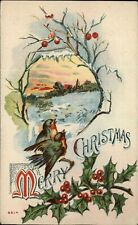 CHRISTMAS ~ birds snow holly ~ 1912 Isaac Flint Bethel Maine ~ postcard picture
