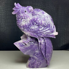 672g Natural Crystal Mineral Specimen. Lilac stone. Hand-carved. The Parrot . picture