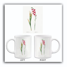 Eastern Gladiolus - 1805 - Les Liliacees - Pierre Redoute - Illustration Mug picture