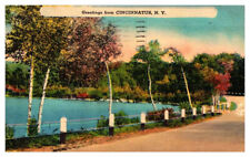 Postcard HIGHWAY SCENE Cincinnatus New York NY AS6073 picture