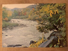 Phoenicia New York Trout Stream Vintage Postcard Card picture