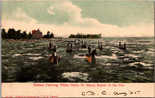 Vtg 1905 Indians Catching White Fish St Marys Rapids at Soo Michigan MI Postcard picture