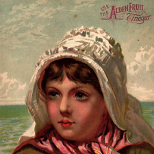 c.1890 Alden Fruit Vinegar Trade Card JK McIntire Dayton OH Bonnet Girl Seaside picture