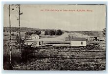 c1910's Fish Hatchery At Lake Auburn, Auburn Maine ME Unposted Antique Postcard picture
