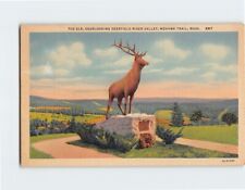 Postcard The Elk, Overlooking Deerfield River Valley, Mohawk Trail Massachusetts picture