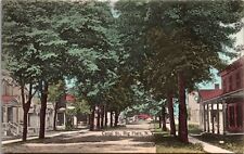 Postcard~Big Flats New York~Canal Street View~Tree Lined~Hand colored~c1910 picture