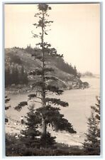 c1910's View Of Barley Hill Sea And Trees Maine ME RPPC Photo Antique Postcard picture