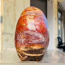 1150g Natural Red Petrified Wood Crystal Fossil Landscape Specimen Reiki Healing picture
