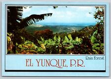 El Yunque Puerto Rico Rain Forest Postcard POSTED 1987 picture