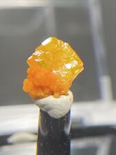 Gorgeous Tiny Wulfenite With Mimetite - San Francisco Mine, Mexico picture